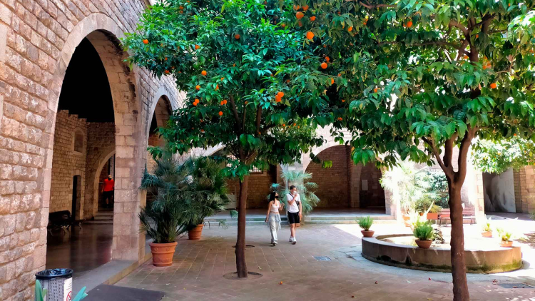 museu frederic mares pati exterior